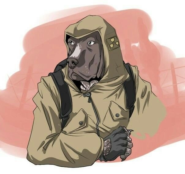 Свобода сталкер