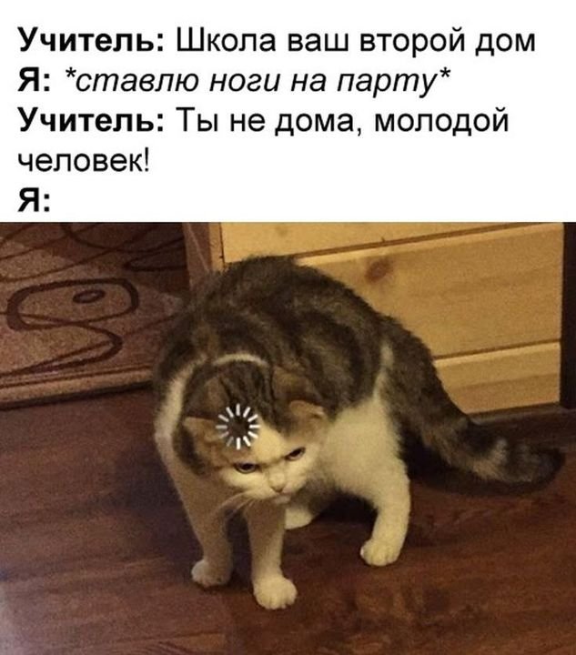Кот загрузка Мем