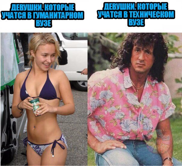 Девушки в гуманитарном вузе и техническом