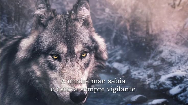 Просто волк