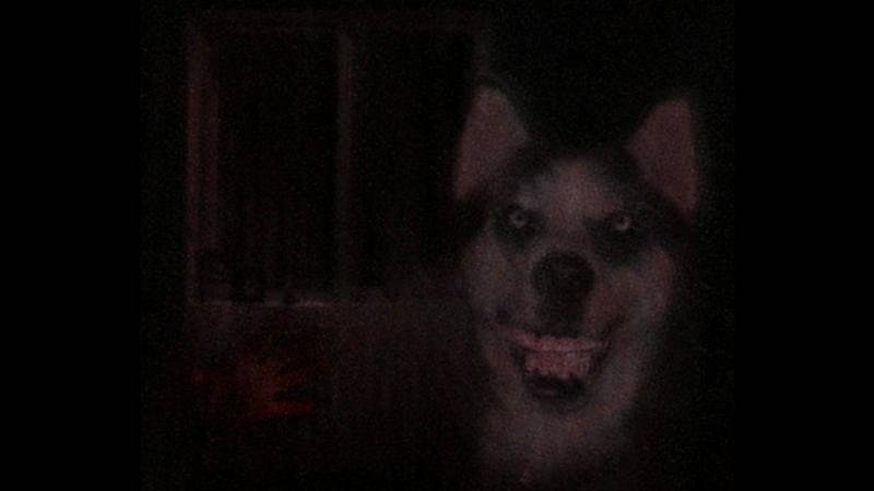 Крипипаста smile Dog оригинал