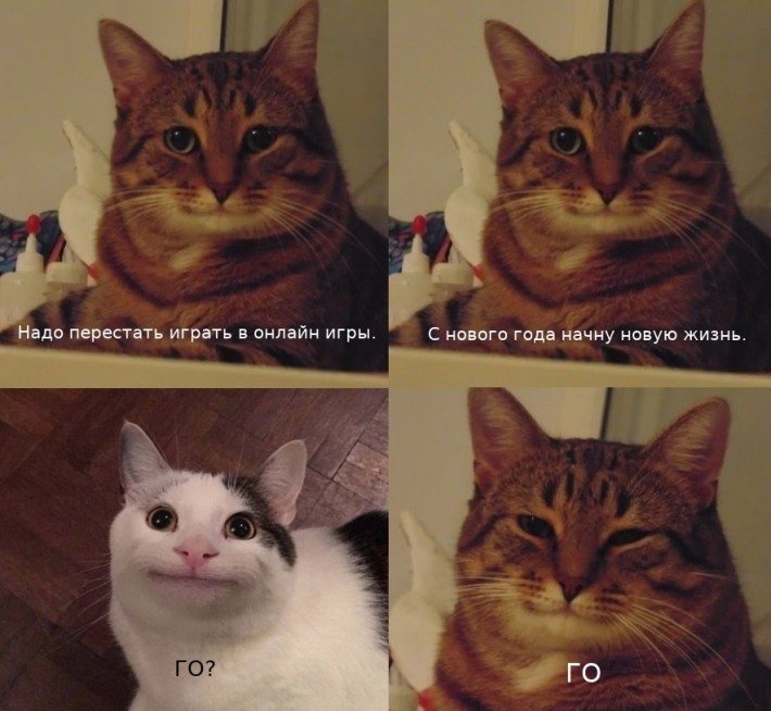 Добрый кот Мем