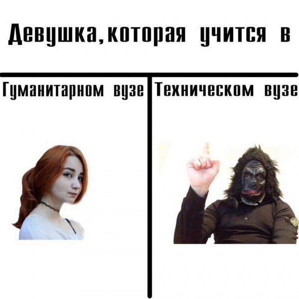 Девушки в техническом вузе Мем