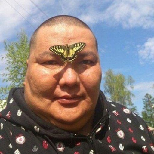 Киргиз котакбас