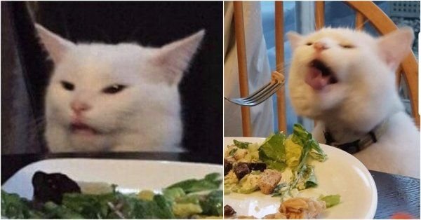 Мем с котом за столом