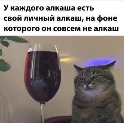 Кот за столом с бокалом