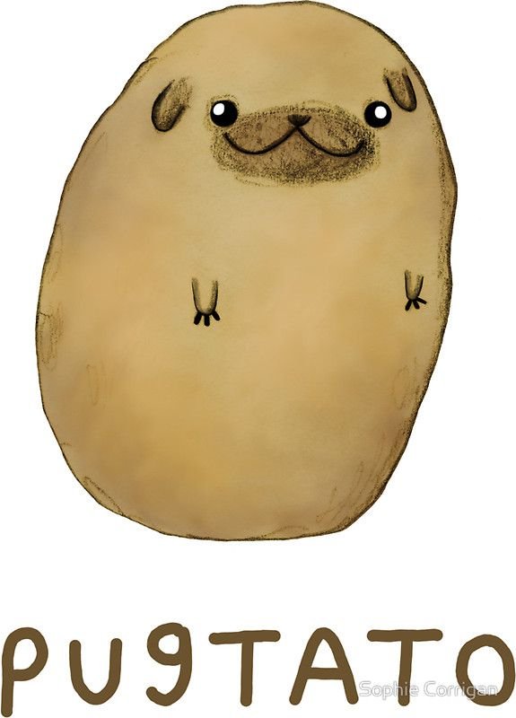 Картошка песик