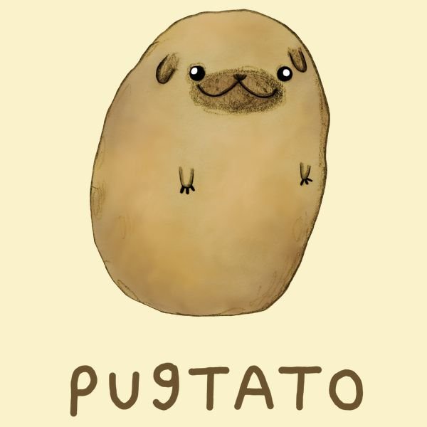 Собака картошка