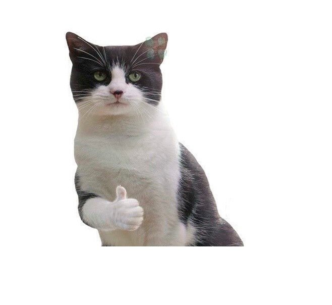 Котик палец вверх