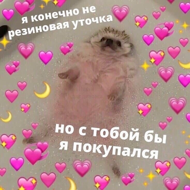 Миленькие картиночки с надписями