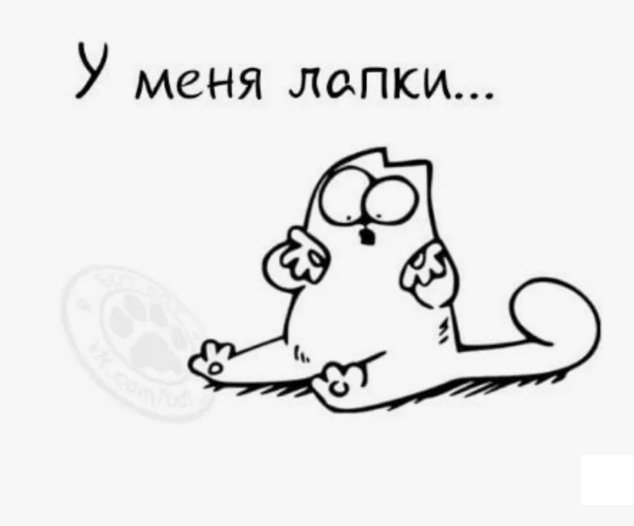 Наклейка - кот