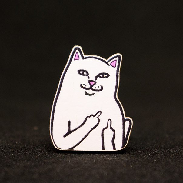 Котик с факом