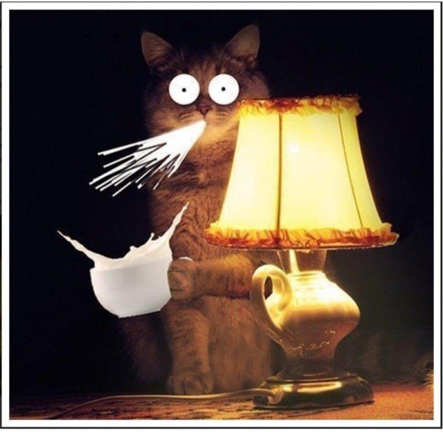 Лампа кот