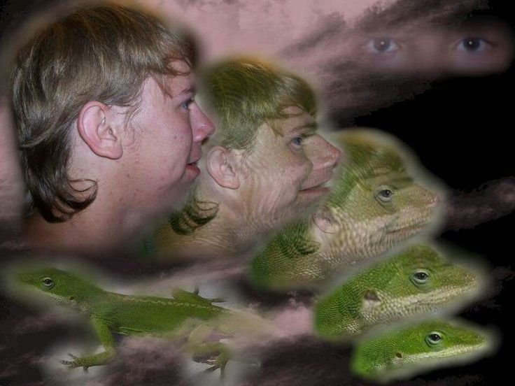 Превращение человека в крысу