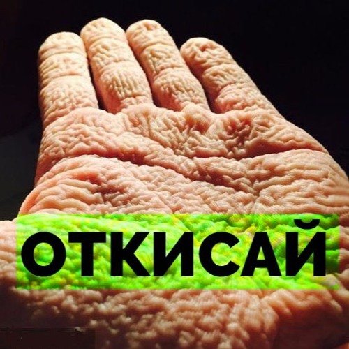 Мем откисаешь