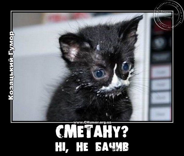 Пятница тринадцатое фото прикол