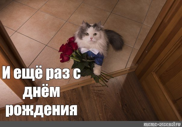 Поздравления с днём рождения с котиками