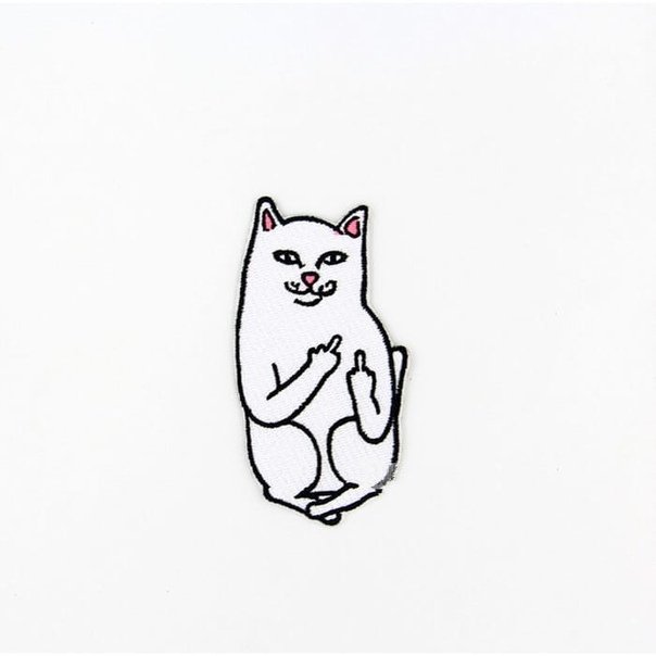 Кот показывает фак