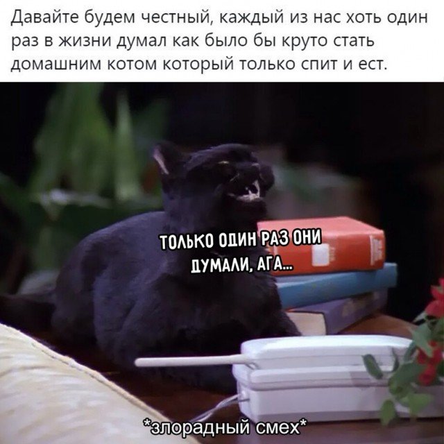 Сейлем Сабрина маленькая ведьма