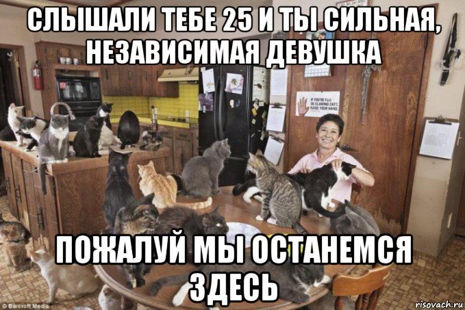 Независимая женщина с кошками