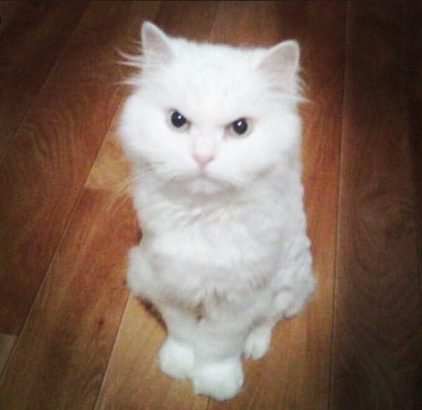 Тебе здесь не рады