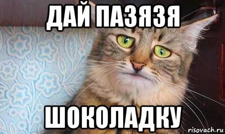 Кот в шоколаде Мем