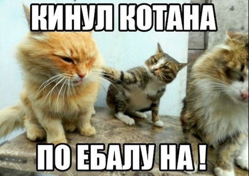 Котаны братаны
