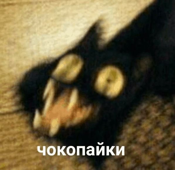 Сухарики кот