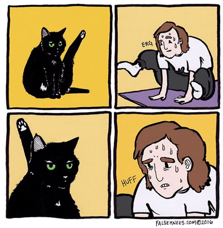 Комиксы с котиками