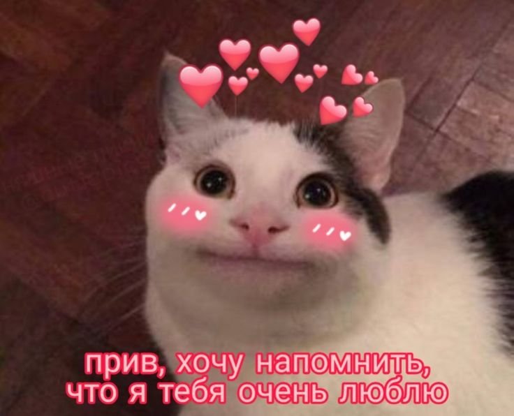 Милые пикчи