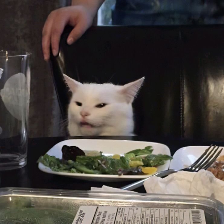 Недовольный кот за столом