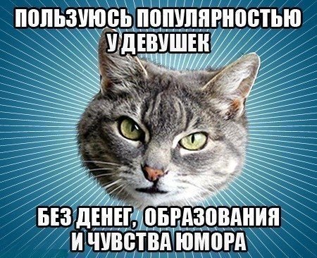 Мемы с котиками