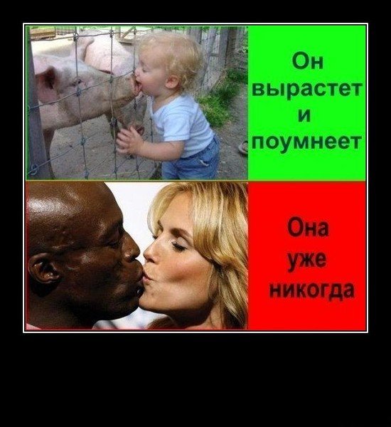 Смешение рас демотиваторы