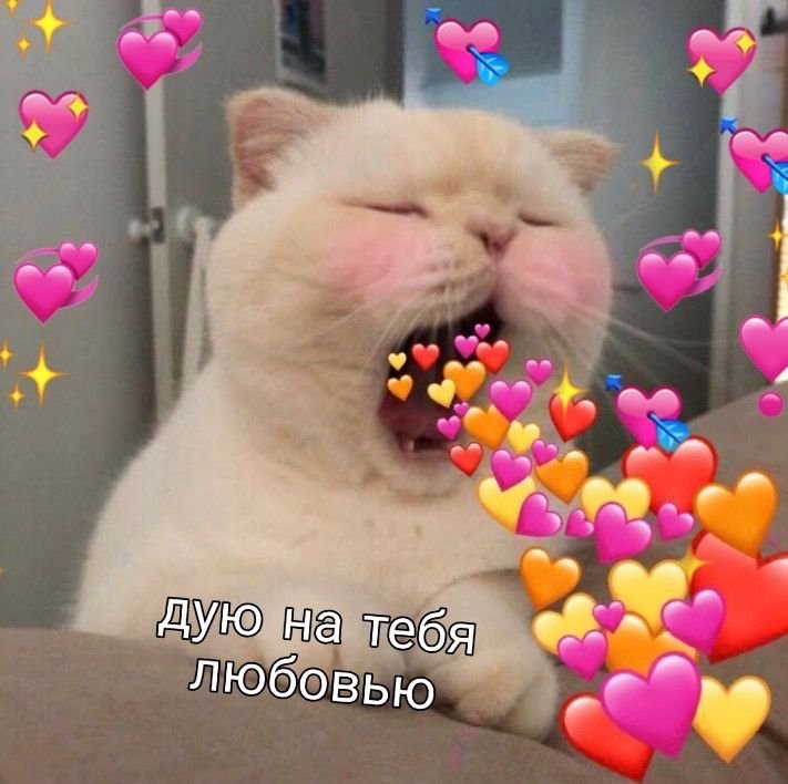Милый кот с сердечками