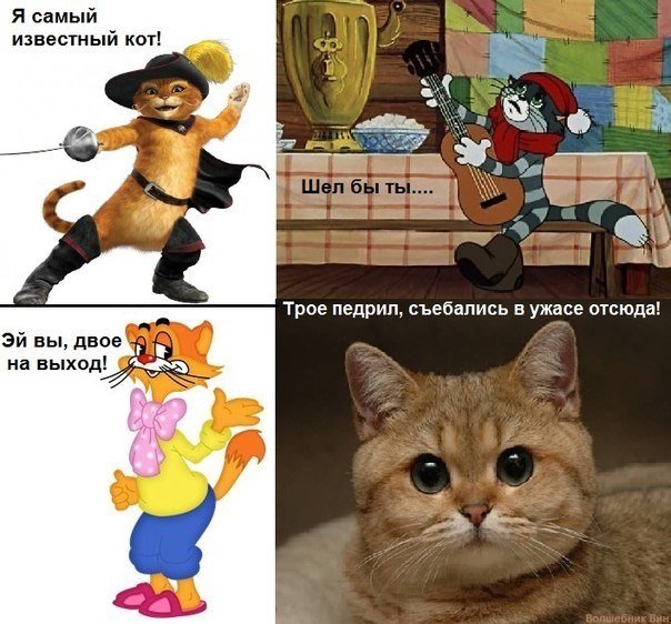Самые известные мемы с котами