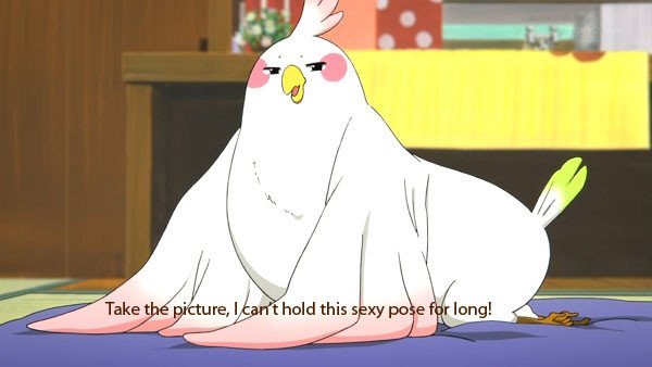 Магазинчик Тамако попугай