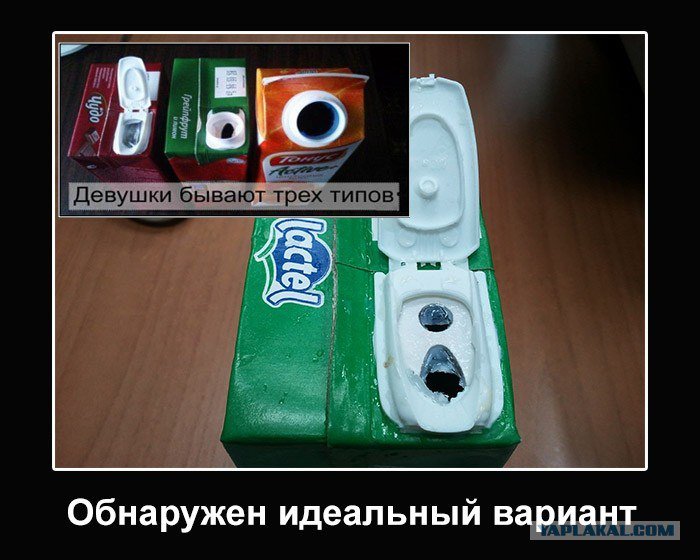 Существуют три типа девушек