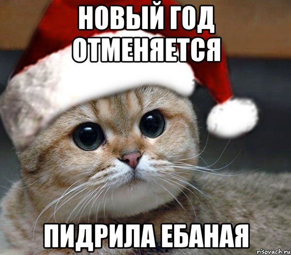 Пидрила Мем