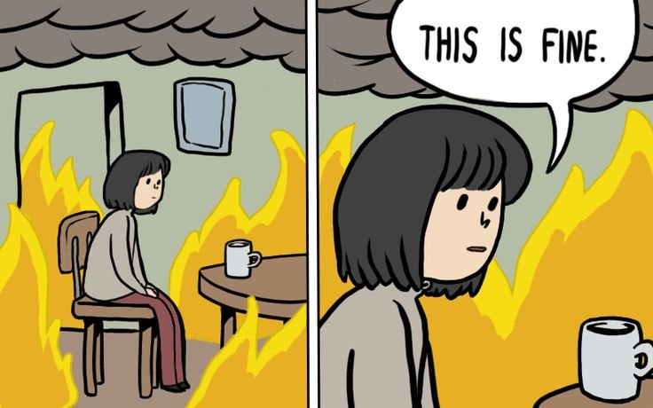 Мемы this is Fine