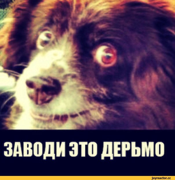 Заводи заводи это дерьмо