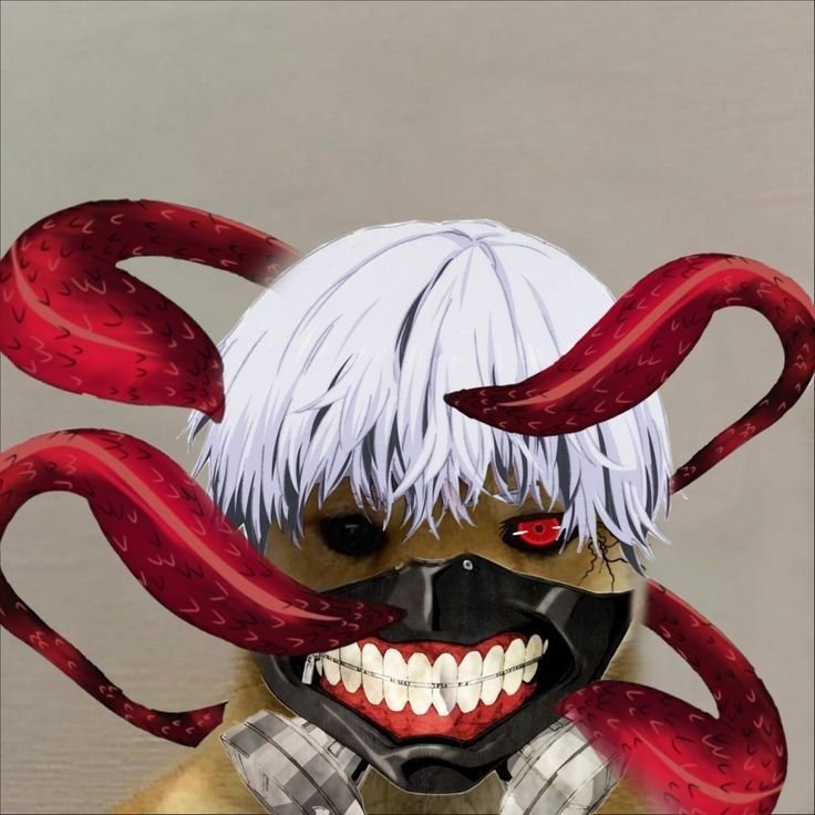 Собака гуль Токийский