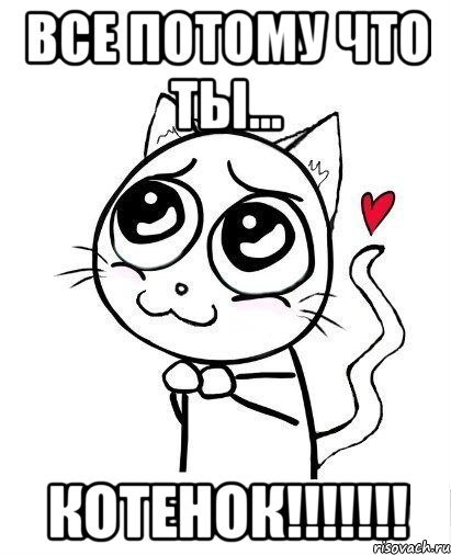 Мемы с котиками