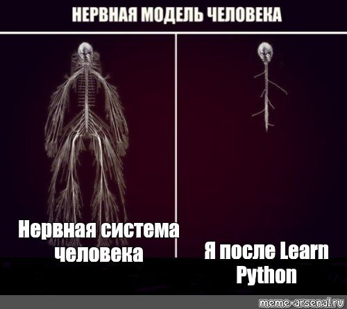 Нервная система человека мемы