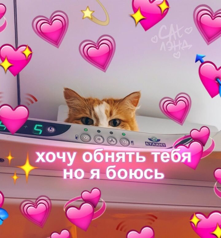 Милые картиночки с надписями