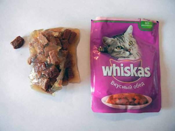 Вискас приколы