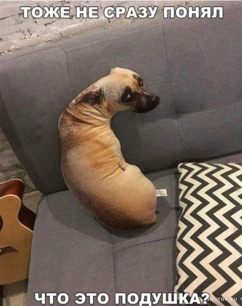 Подушка собака прикол