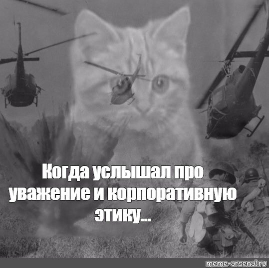 Кот флешбеки Вьетнам