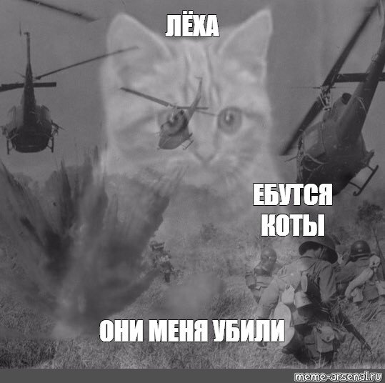 Кот вьетнамские флешбеки