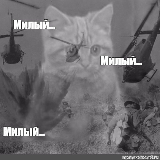 Кот Вьетнам Мем
