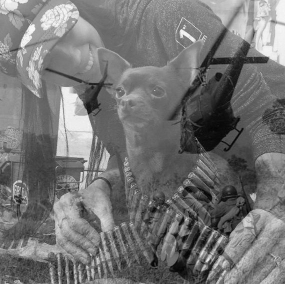 Кот флешбеки Вьетнам